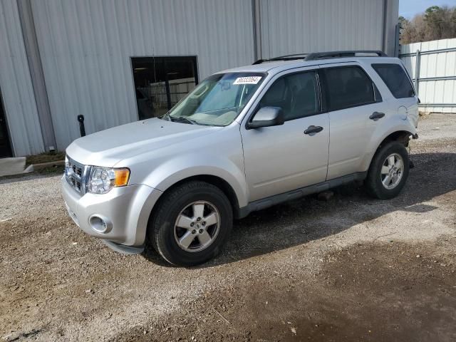 2011 Ford Escape XLS