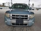 2008 Ford Escape HEV