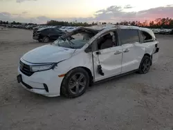 Salvage cars for sale at Houston, TX auction: 2022 Honda Odyssey EX