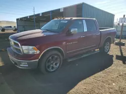 Salvage cars for sale at Colorado Springs, CO auction: 2011 Dodge RAM 1500