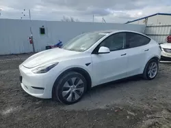 2023 Tesla Model Y en venta en Albany, NY