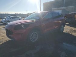 Salvage cars for sale at Fredericksburg, VA auction: 2020 Ford Escape SE