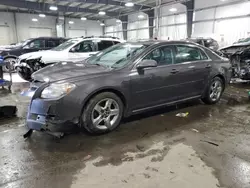 2010 Chevrolet Malibu 1LT en venta en Ham Lake, MN