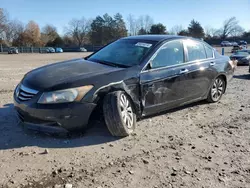 Honda Accord exl salvage cars for sale: 2012 Honda Accord EXL