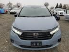 2023 Honda Odyssey SPORT-L