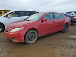 Toyota Vehiculos salvage en venta: 2010 Toyota Camry Base