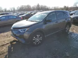 Salvage cars for sale from Copart Chalfont, PA: 2017 Toyota Rav4 LE