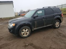 2011 Ford Escape XLT en venta en Portland, MI