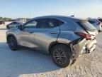 2023 Lexus NX 250