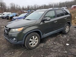 Salvage cars for sale at Baltimore, MD auction: 2011 KIA Sorento Base