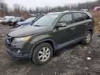 2011 KIA Sorento Base