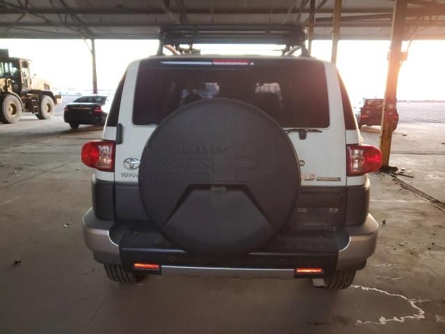 2010 Toyota FJ Cruiser