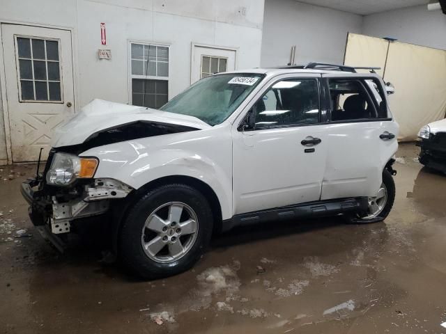 2011 Ford Escape XLT