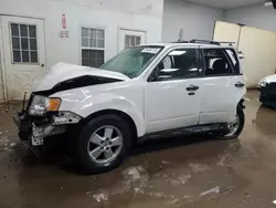 Salvage cars for sale at Davison, MI auction: 2011 Ford Escape XLT