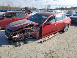 Salvage cars for sale at Bridgeton, MO auction: 2024 Cadillac CT5 Premium Luxury