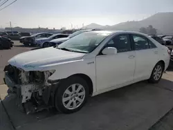 Salvage cars for sale at Colton, CA auction: 2009 Toyota Camry Hybrid