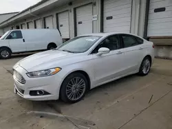 Salvage cars for sale at Louisville, KY auction: 2014 Ford Fusion SE