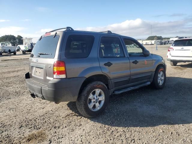 2006 Ford Escape XLT