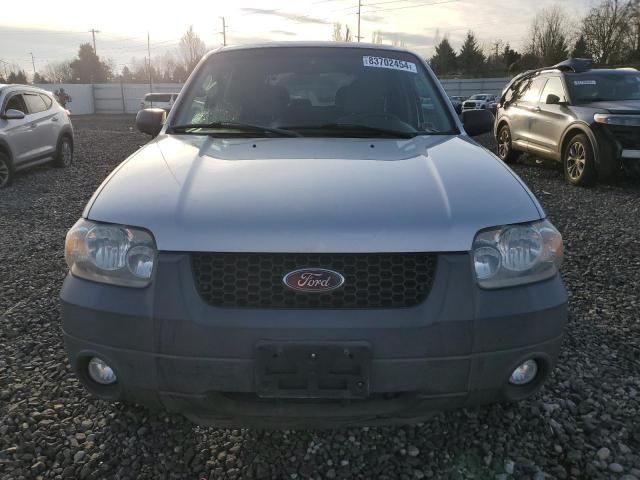 2007 Ford Escape XLT