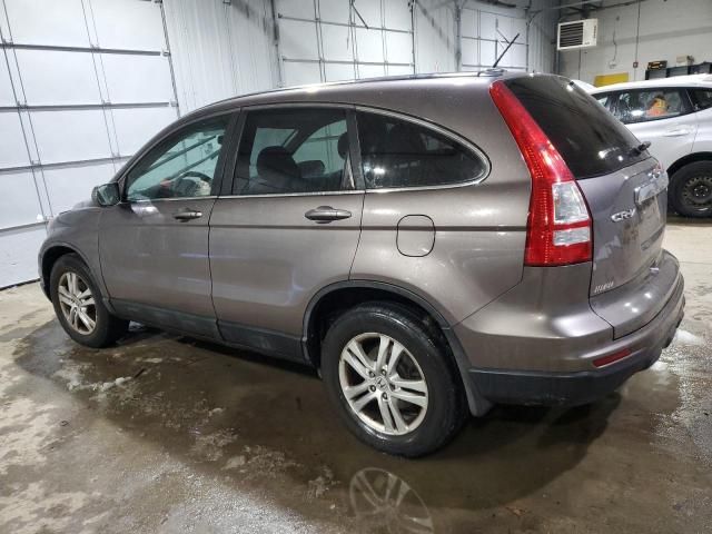 2010 Honda CR-V EXL