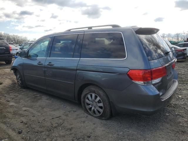 2010 Honda Odyssey EXL