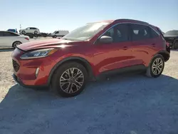 Salvage cars for sale at Arcadia, FL auction: 2020 Ford Escape SEL