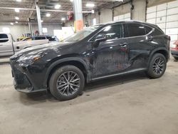 Salvage cars for sale at auction: 2024 Lexus NX 350H Base