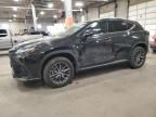 2024 Lexus NX 350H Base