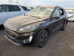 Ford Escape sel salvage cars for sale: 2022 Ford Escape SEL