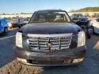 2007 Cadillac Escalade Luxury