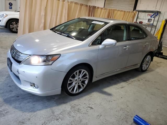 2010 Lexus HS 250H