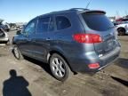 2007 Hyundai Santa FE SE