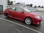 2010 Lexus HS 250H