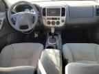 2005 Ford Escape XLT