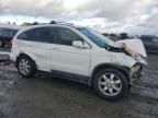 2007 Honda CR-V EXL