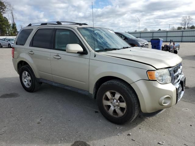 2012 Ford Escape Limited