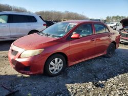 Toyota Vehiculos salvage en venta: 2009 Toyota Corolla Base