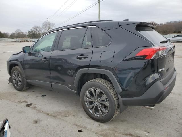 2024 Toyota Rav4 XLE Premium