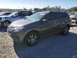 Salvage cars for sale at Riverview, FL auction: 2016 Toyota Rav4 LE