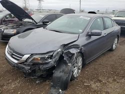 Salvage cars for sale at Elgin, IL auction: 2014 Honda Accord EXL