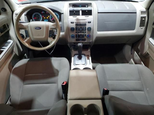 2009 Ford Escape XLT