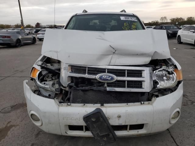 2009 Ford Escape XLT