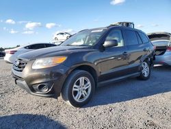 2011 Hyundai Santa FE GLS en venta en Fredericksburg, VA