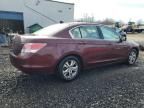 2010 Honda Accord LXP