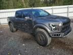 2019 Ford F150 Raptor