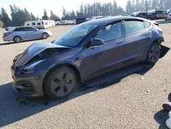 2023 Tesla Model 3 en venta en Arlington, WA