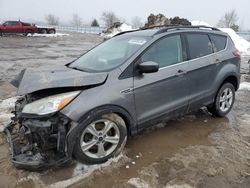 Salvage cars for sale from Copart Ontario Auction, ON: 2014 Ford Escape SE