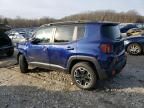 2017 Jeep Renegade Trailhawk