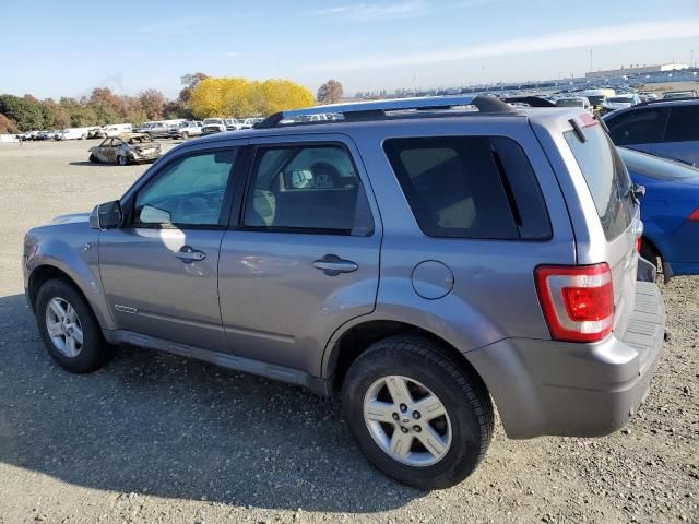 2008 Ford Escape HEV