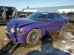 Salvage cars for sale at Woodhaven, MI auction: 2014 Dodge Charger R/T